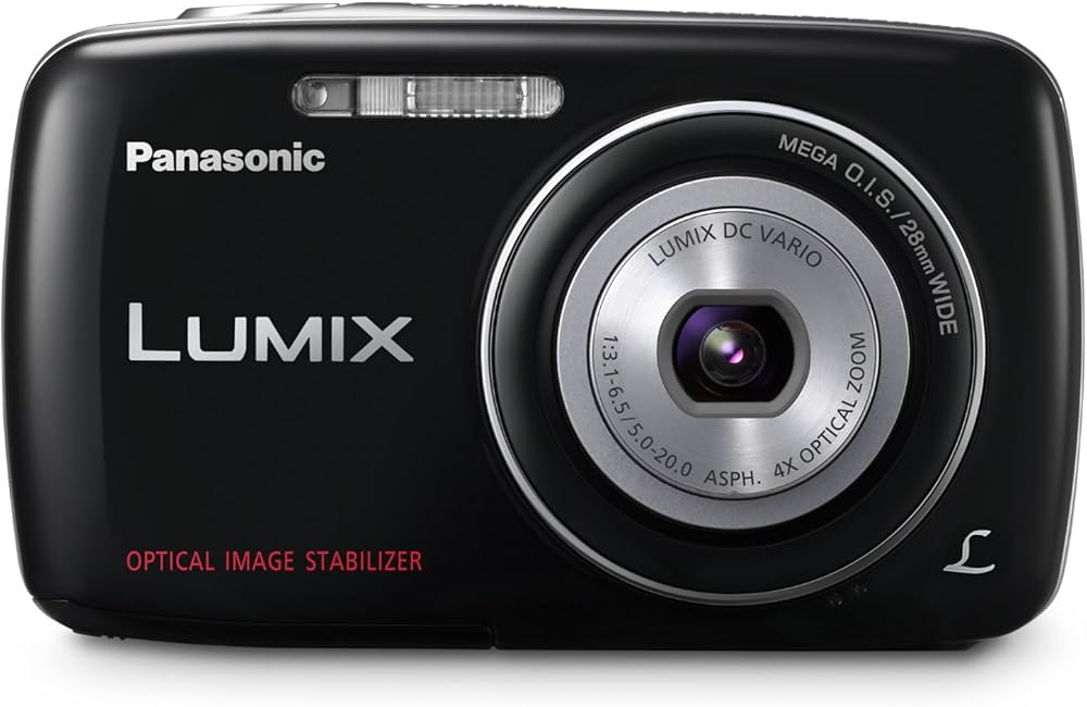 Amazon.com : Panasonic Lumix DMC-S1 12.1 MP Digital Camera with 4x