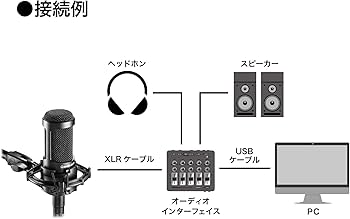 Amazon.co.jp: オーディオテクニカ AT2035 コンデンサーマイク 単一