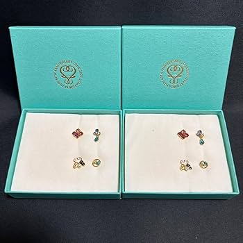 Amazon.co.jp: 藤井フミヤ ライブグッズ ツアーグッズ FFピアス2箱