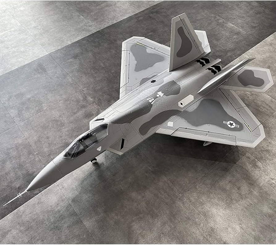 Amazon | eモンズ ビッグスケール 戦闘機 模型 【 F-22 】 F22