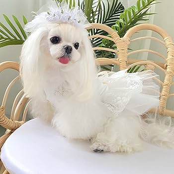 花*様 値下げ犬服 ロングドレス ホワイト/ブラックSサイズ 花*様