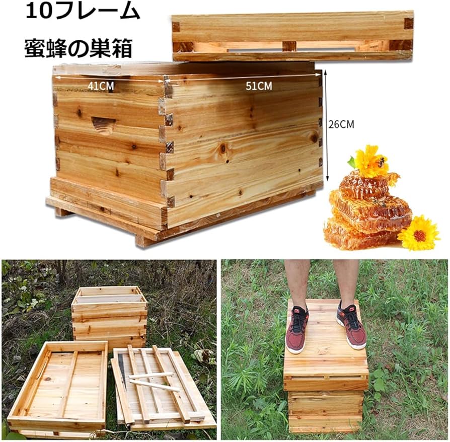 Amazon.co.jp: 巣箱 蜂ハイブ ミツバチ 巣箱 標準10枠 蜜蜂の巣箱