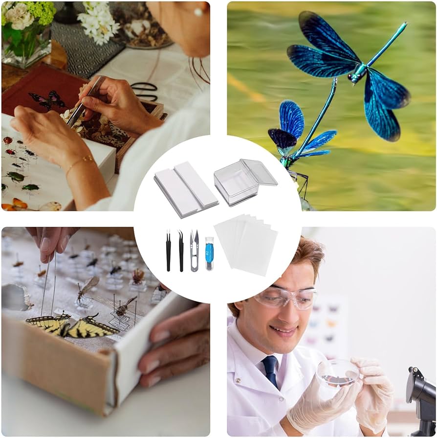 Amazon | 標本ツール 昆虫標本キット 標本作成ツールセット 蝶標本
