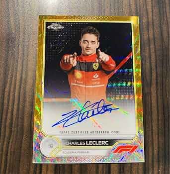 71RLgbZ6ZrL._AC_UF350,