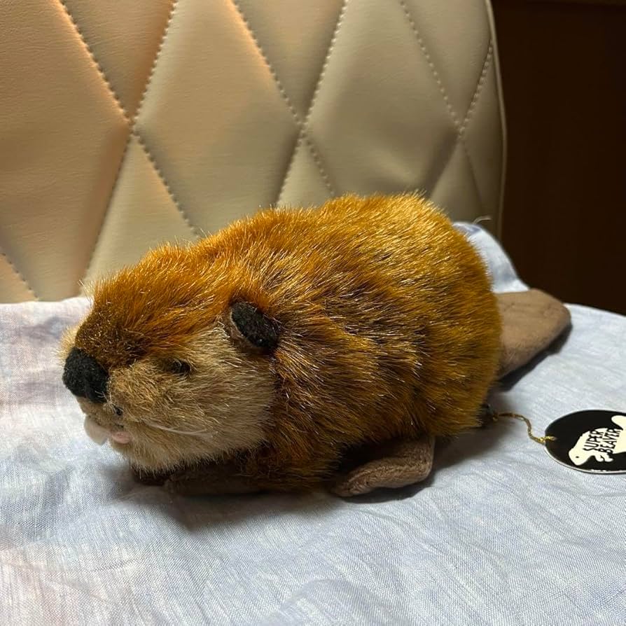 SUPER BEAVER スーパービーバーちゃん(ぬいぐるみ) Amazon.co.jp