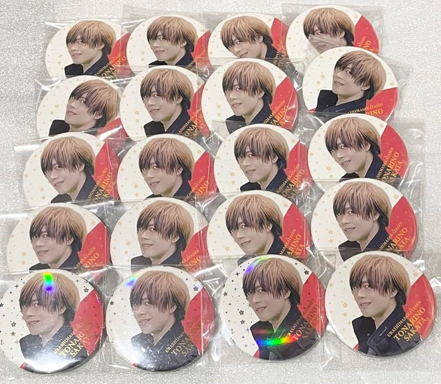 浦島坂田船 となりの坂田 あほの坂田 メモリアル 缶バッジ 実写 ベル美