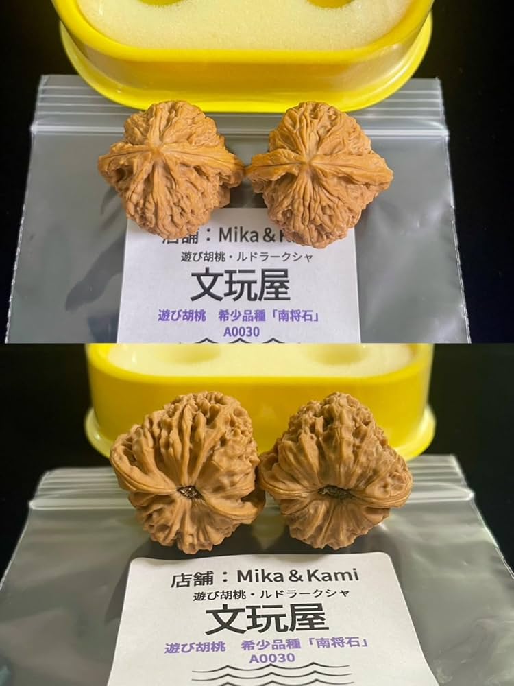 Amazon | 文玩屋 遊び胡桃 A0030 希少品種「南将石」「手で遊び育てる