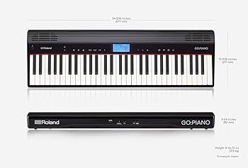 Amazon.com: Roland GO:PIANO 61-key Portable Piano : Electronics