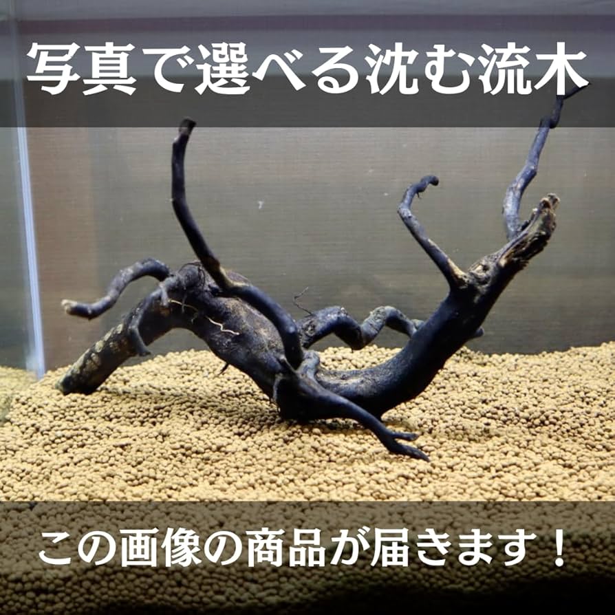 XM-378 流木 マシンガンウッド アクアリウム ブランチウッド アク抜き