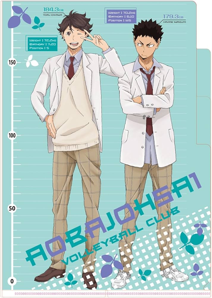 Amazon.co.jp: ハイキュー! ! 3ポケットクリアファイル 制服(及川