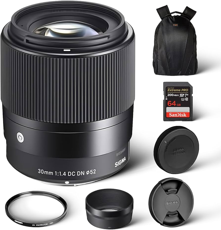Amazon.com : Sigma 30mm f/1.4 DC DN Contemporary Lens for Sony E