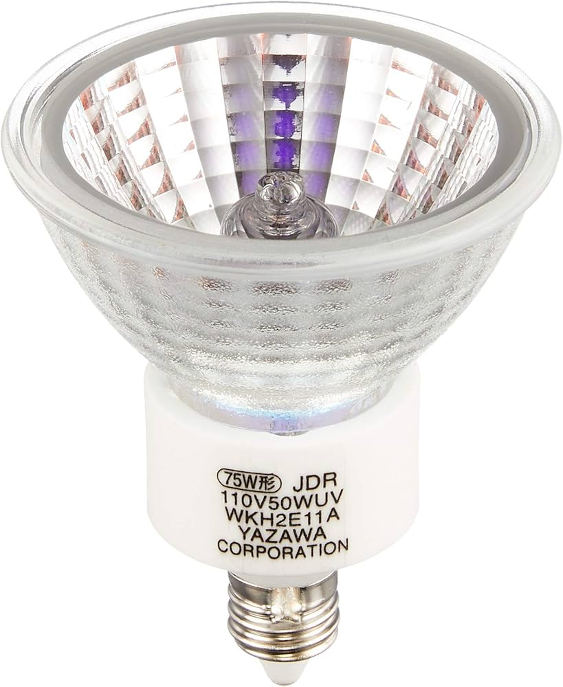 Amazon | ヤザワ エコクールハロゲンシャイン75W形 2P