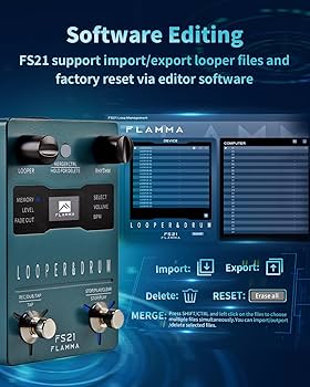 Amazon.com: FLAMMA FS21 Stereo Guitar Looper Pedal & Drum Machine