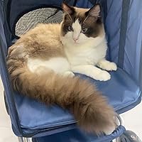 Amazon.co.jp: FOFO (フォフォ) ペットカート 軽量 犬カート ペット