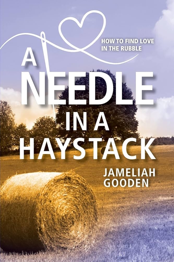 A Needle in a Haystack: How to Find Love in the Rubble: Gooden