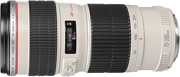 Amazon.co.jp: Canon 望遠ズームレンズ EF70-200mm F4.0L USM フル