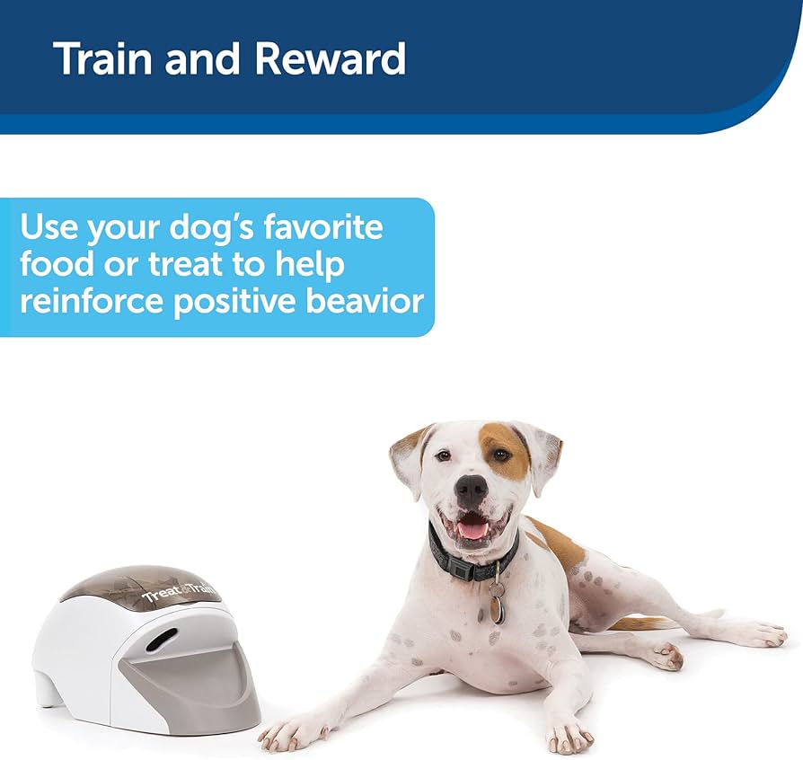 Amazon | Treat & Train Remote Reward Dog Trainer | PetSafe | 自動