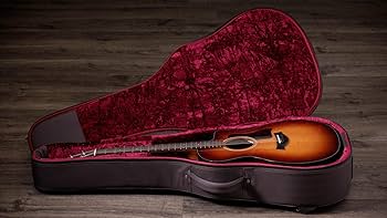 Amazon.com: Taylor 214ce-K Plus Grand Auditorium Spruce/Hawaiian