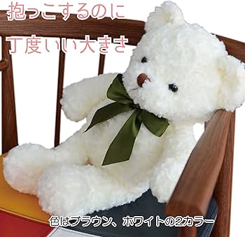 Amazon.co.jp: Active Island テディベア 3分録音 ぬいぐるみ a578