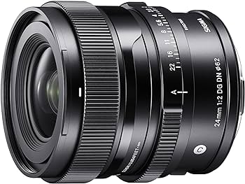Amazon.com : 24mm F2 DG DN for Sony E : Electronics
