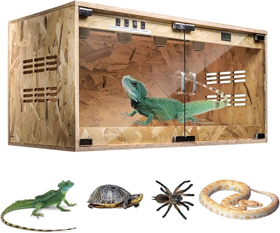 爬虫類飼育ケージ ライト インテリアセット 60x40x40cm トップテラ