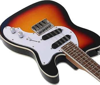 Amazon.co.jp: Batking マンドリン 8弦 アコースティック