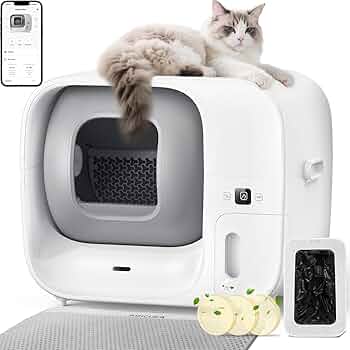 71VxJut1PLL._AC_UF350,