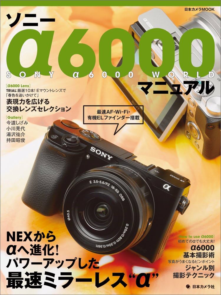 SONY α6000 セット(すべて言語可能) 11月4日まで SONY α6000 セット