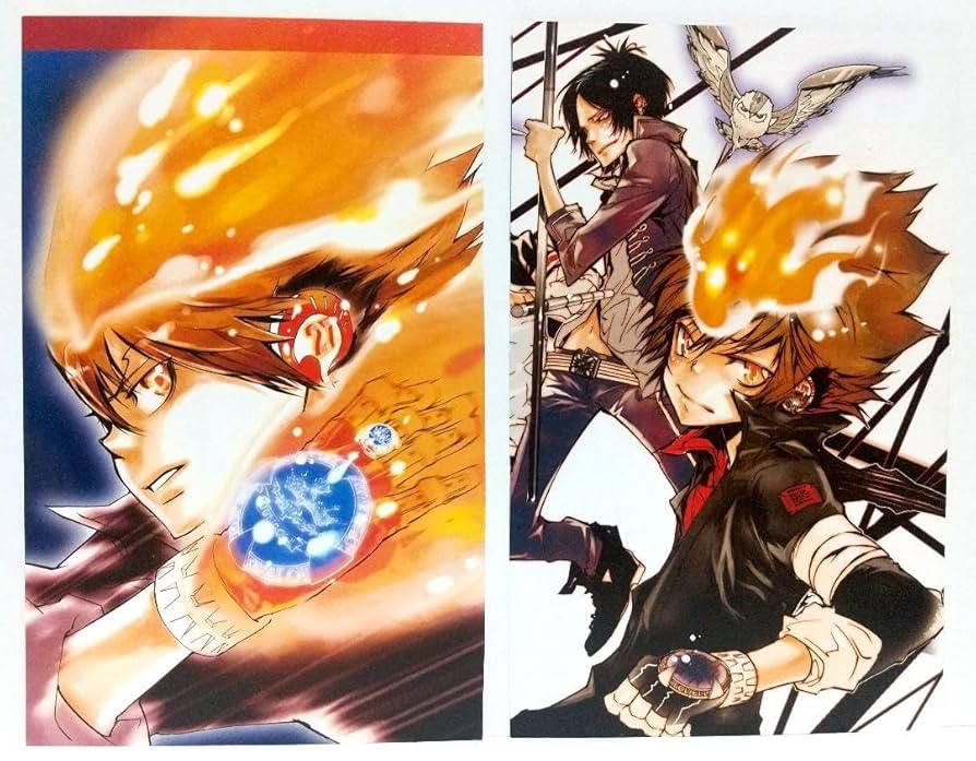 家庭教師ヒットマンREBORN! 沢田綱吉 ツナ クリアポスター 原作絵 家庭