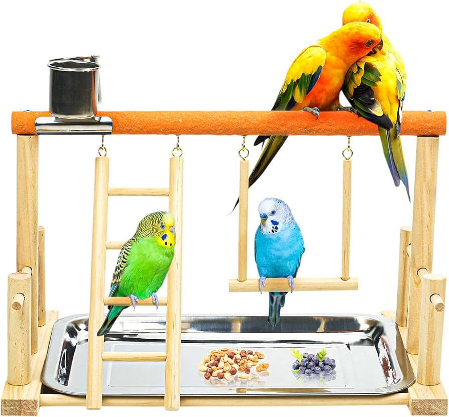 Amazon | 鳥スタンド 止まり木 バードアスレチック 玩具 インコ