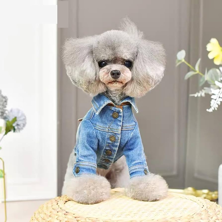 Amazon | RIOSTUDIO 犬服 秋冬 【日本初上陸】 PEEKAPOODLE 格好いい