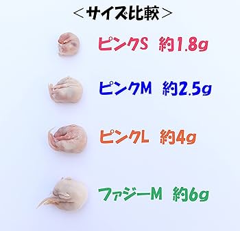 Amazon | 冷凍マウス ピンクマウス S 20匹 国産 SAfarm | SAfarm