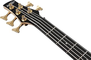 Amazon.com: Ibanez GSR205PC GIO 5-String Bass Guitar, Purpleheart