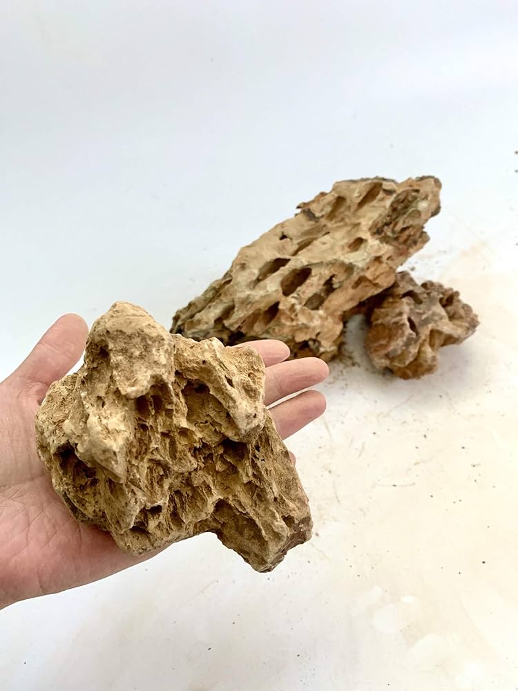Amazon | 気孔石 黄虎石 蜂炎石 100-150㎜ 形状お任せ 3個 水槽 花壇