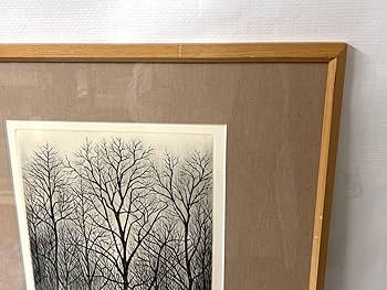 Amazon｜限定30部 木村茂 銅版画 額縁付き 外寸413×525mm 2730部 細密
