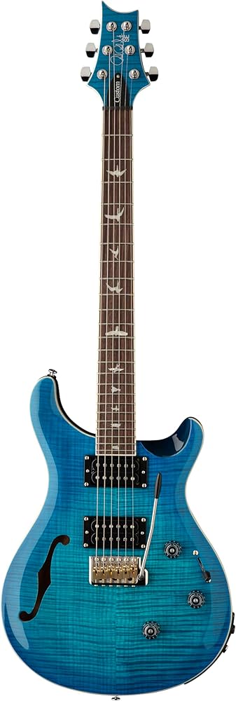 最終価格】PRS SE Custom24【替え弦3セット付き】 PRS custom24SE