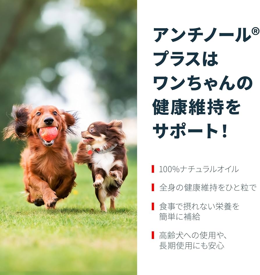 Amazon.co.jp: 【動物病院推奨】【公式】アンチノール プラス 犬