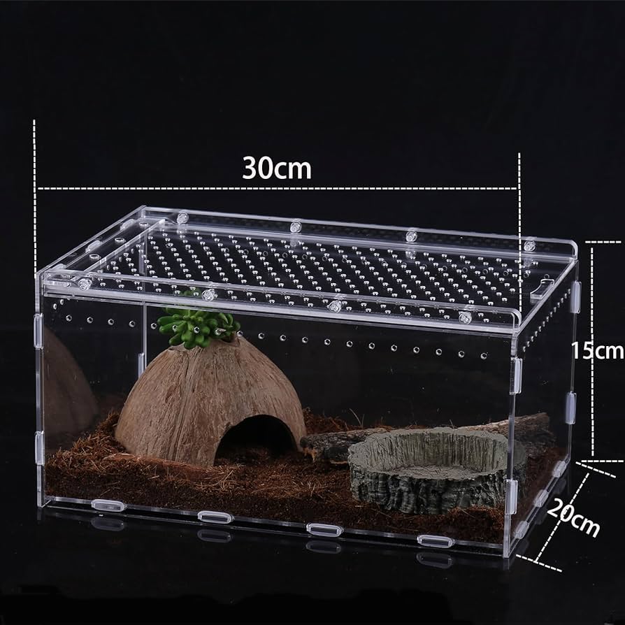 爬虫類飼育ケージ 30×20×15 6個セット Amazon | レプタイルボックス 爬虫類