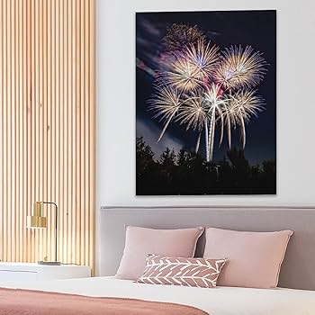 Amazon.co.jp: 絵画 夜の公園で花火が上がるインテリア 絵画 花火大会