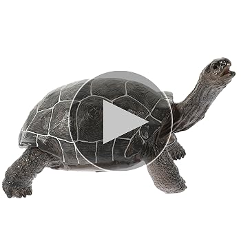 Amazon.co.jp: EXCEART 亀 フィギュア カメ 置物 動物 アクセサリー