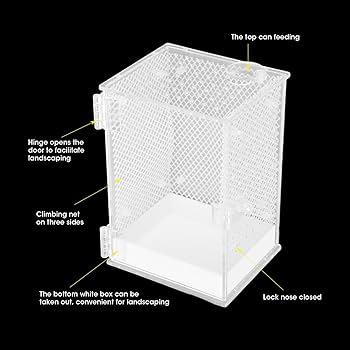 Amazon.co.jp: カマキリ飼育ボックス、給餌穴付きアクリル給餌ケージ