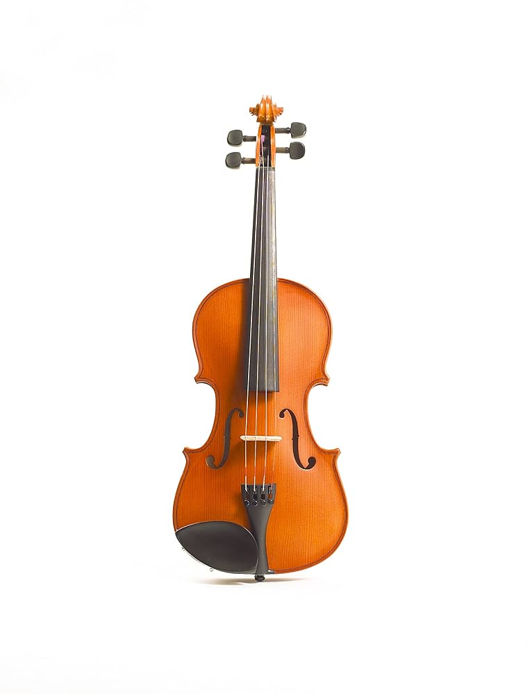 Stentor student II 4/4 フレットバイオリン STENTOR Violin Outfit ST