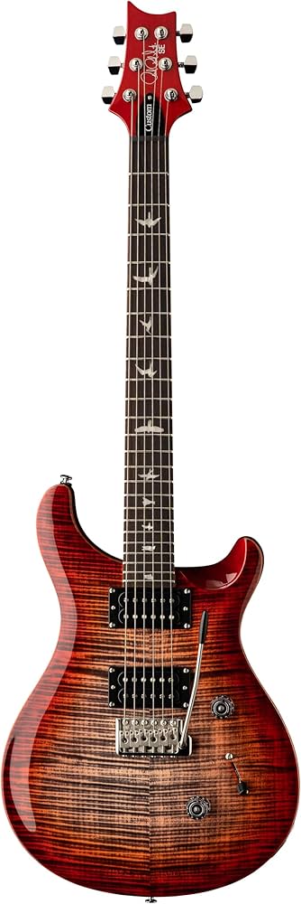 Amazon | PRS SE Custom 24 チャコールチェリーバースト バッグ付き