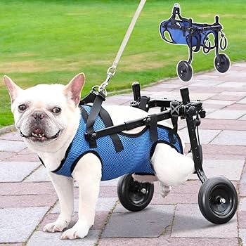 Annabel様専用 犬用車椅子 犬の歩行器 歩行補助 犬の車いす ハーネス