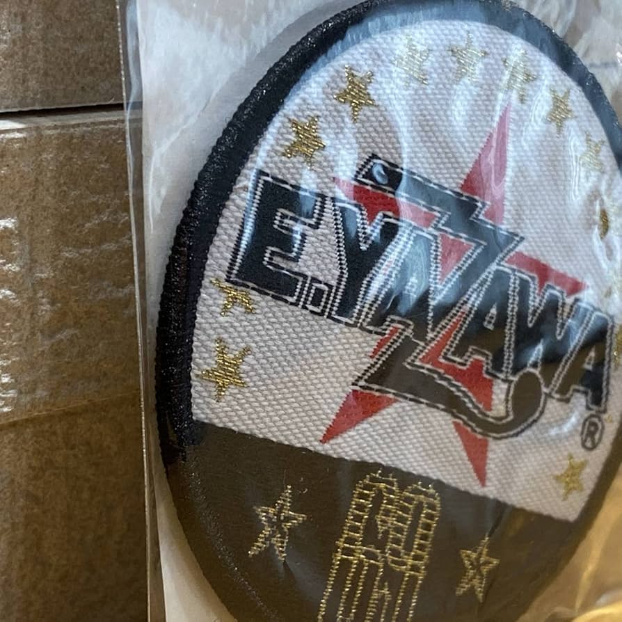 Amazon.co.jp: 当時物 矢沢永吉 YAZAWA 珍品 アイロン ワッペン 刺繍