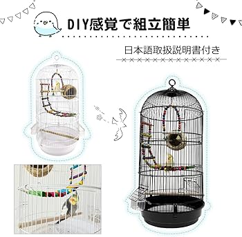Amazon | RAKU バードケージ 鳥カゴ 鳥小屋 複数飼い 止まり木