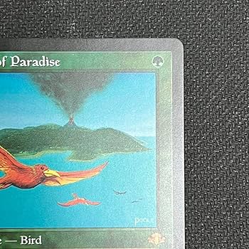 mtg 稀少 サインド 英語版 極楽鳥 4th 4ed 4版 mtg 稀少 サインド