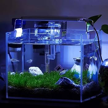 Amazon.co.jp: INSLIFE 水槽ライト アクアリウムライト 青/白 水槽照明