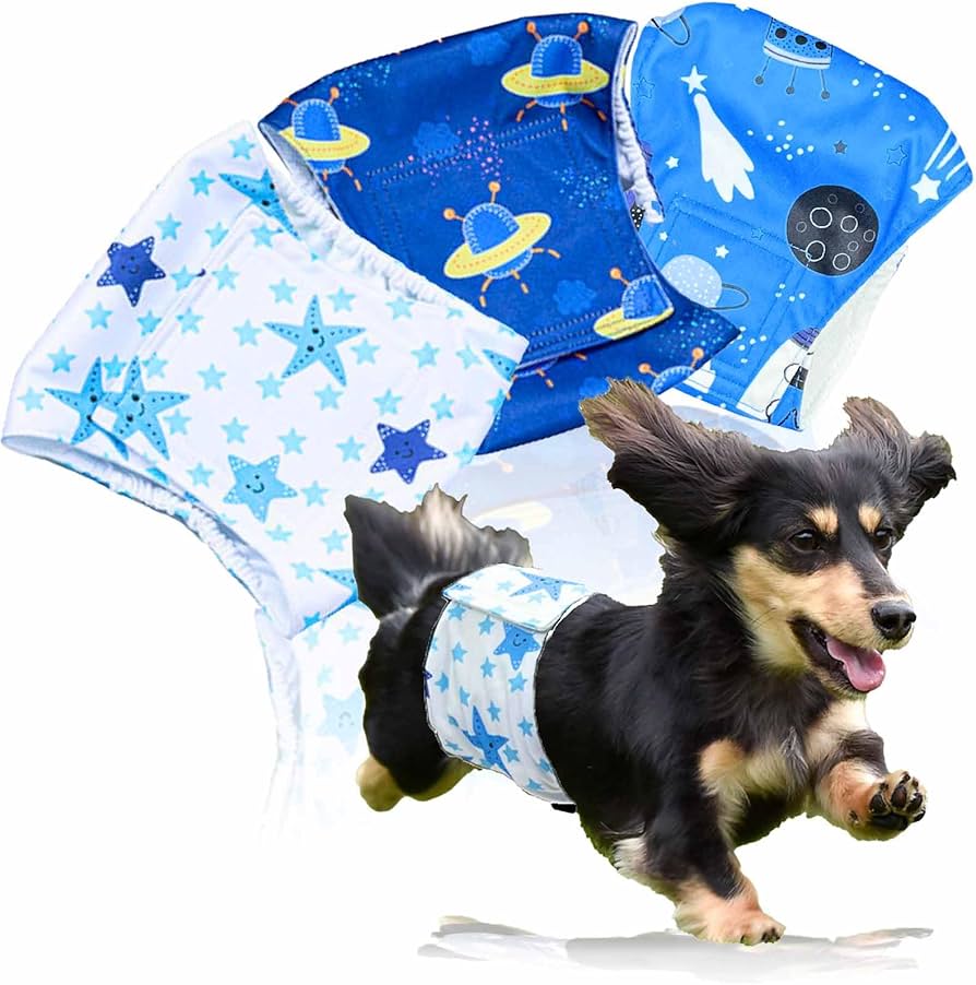 Amazon.co.jp: 【獣医師監修】 マナーベルト 犬 男の子 3点セット お