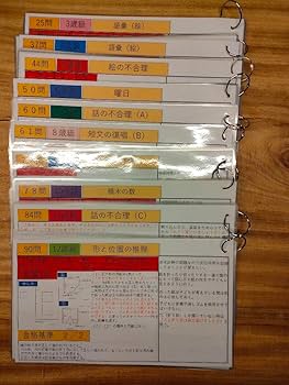 Amazon.co.jp: 田中ビネー知能検査V 検査進行シート3歳級～12歳級